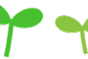 清河护海 益路同行