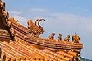 百年华诞—-万里爱心会用实际行动践行初心