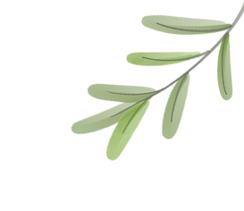 万里爱心会|讲师聘书颁发仪式