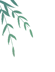 端午节|美好会接“粽”而来