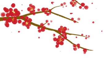 谢谢你,生命的礼物