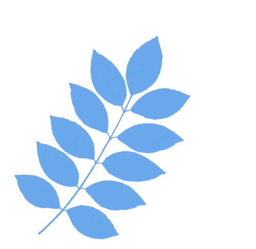 暖冬行动第五期——1月18日走访纪实