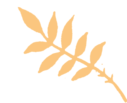 暖冬活动第六期——1月19日走访纪实