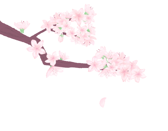 【帮扶反馈】柔道妈妈援助行动