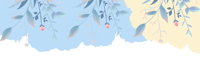 暖冬行动第十一期——2月15日庄河光明山走访纪实